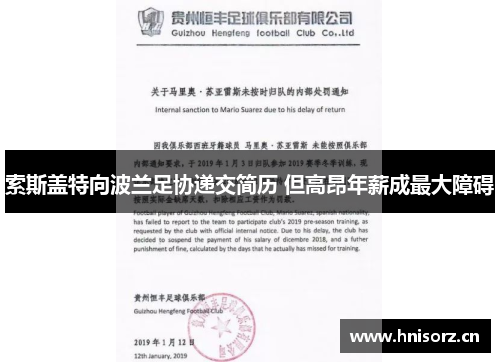 索斯盖特向波兰足协递交简历 但高昂年薪成最大障碍